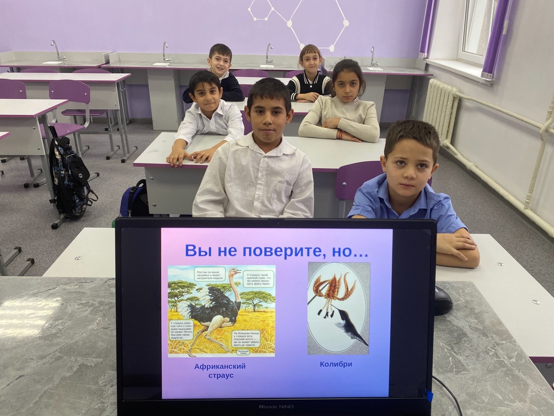Хочу все знать.