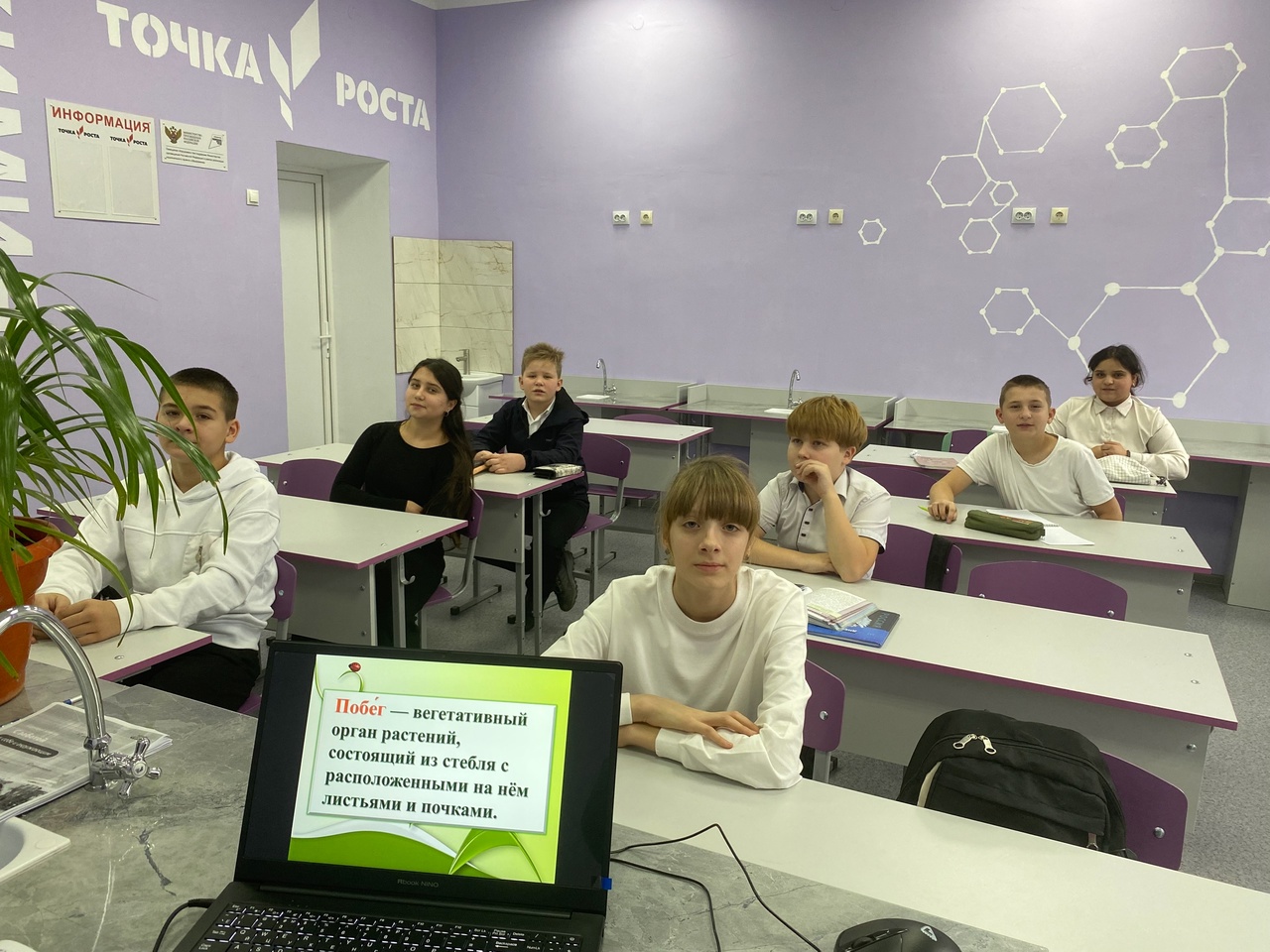 шаги в экспериментальную биологию.